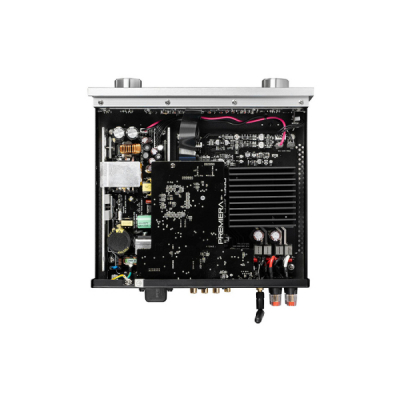 PREMIERA D1S White